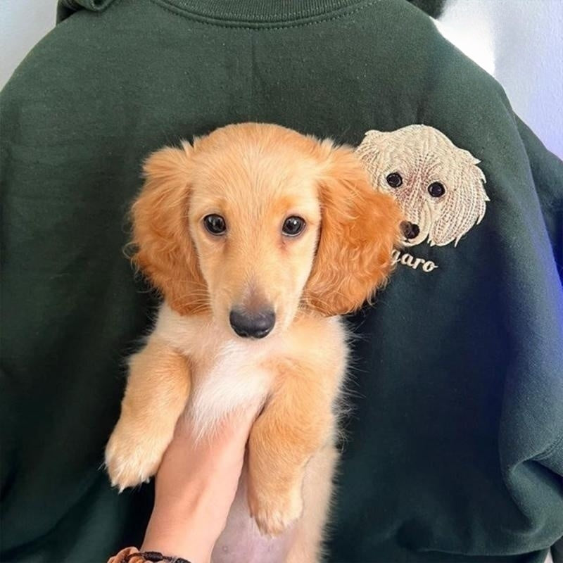 Individuell bestickter Hunde-Kapuzenpullover. Fügen Sie das Gesicht Ihres Haustiers zu einem Sweatshirt mit Namen hinzu
